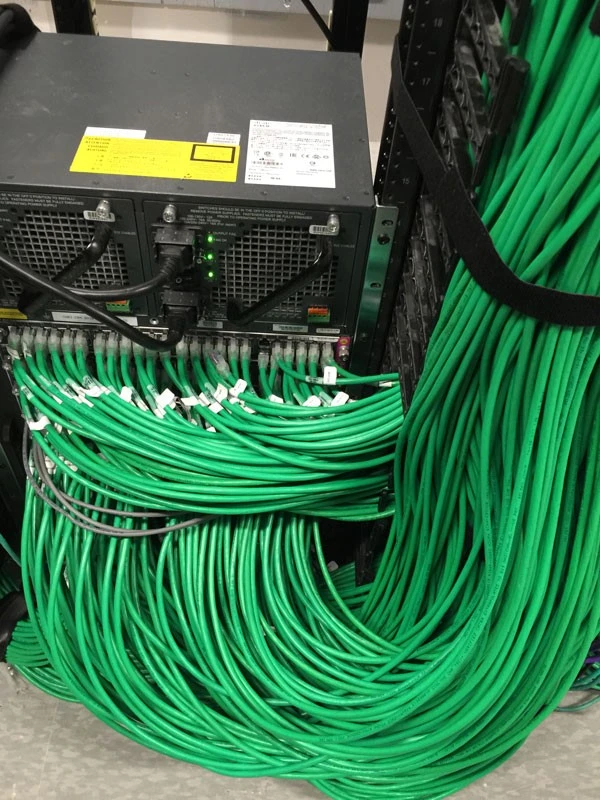 A rack full of green wires in a room.