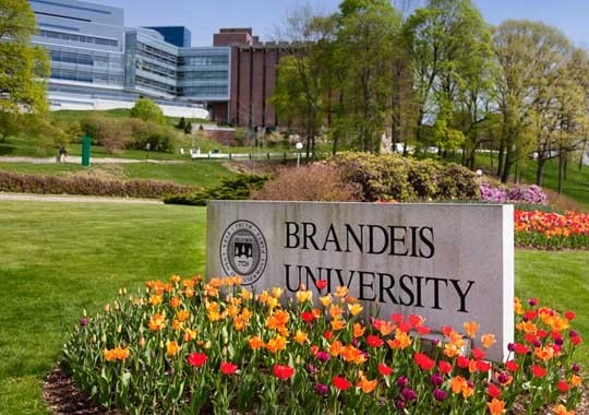 A sign for brandeis university in front of flowers.